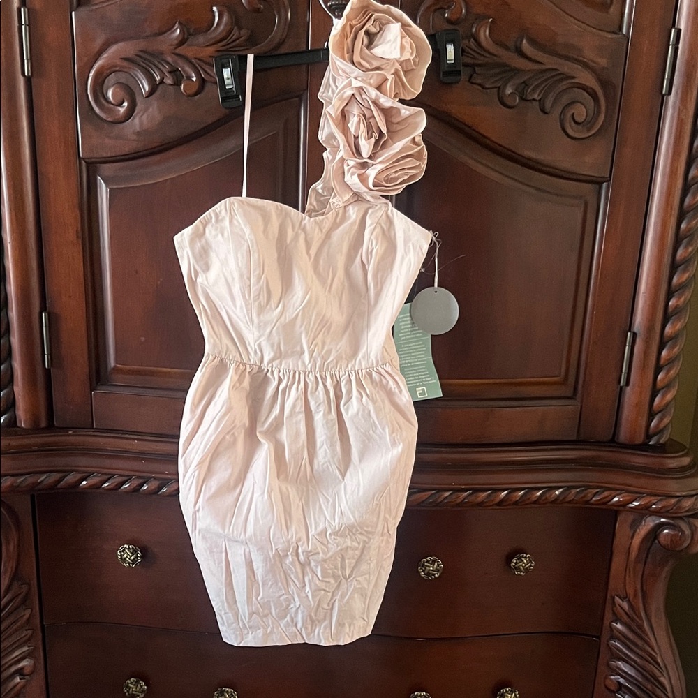 Pearl One Shoulder Dress in Light Pink